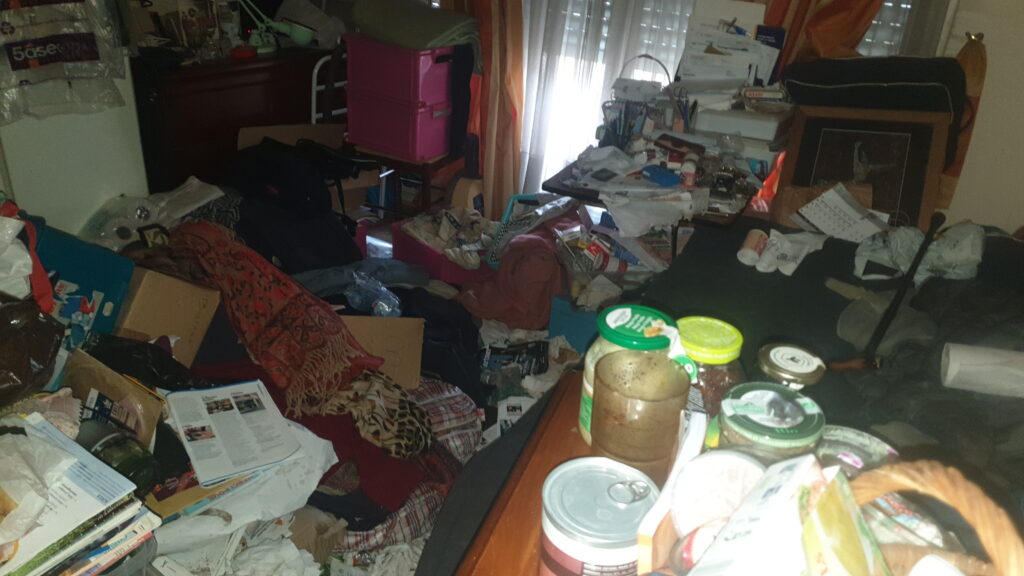 20250207_141627 20250207 141627 1024x576