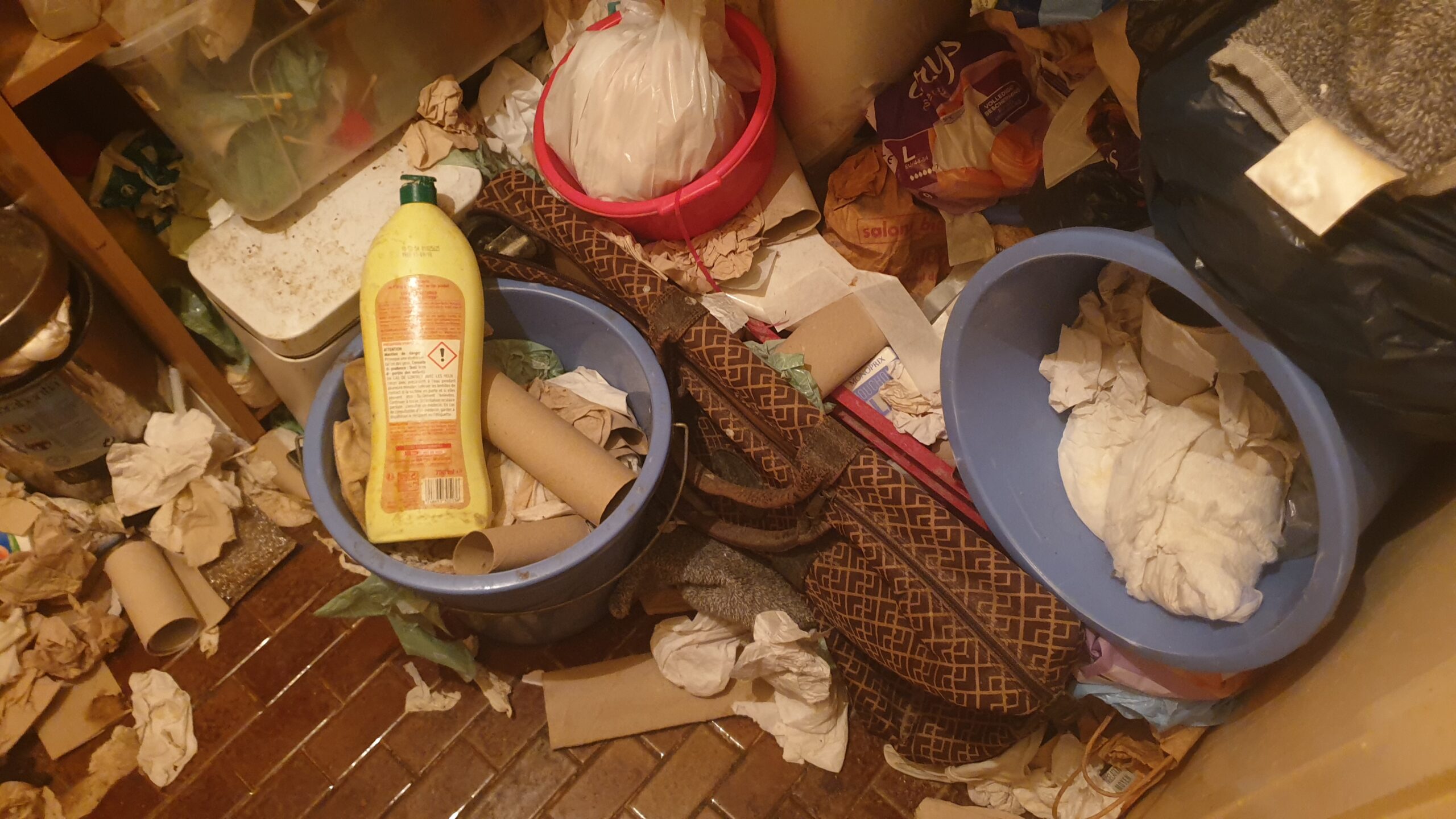 gallery-3 20250207 141830 Scaled