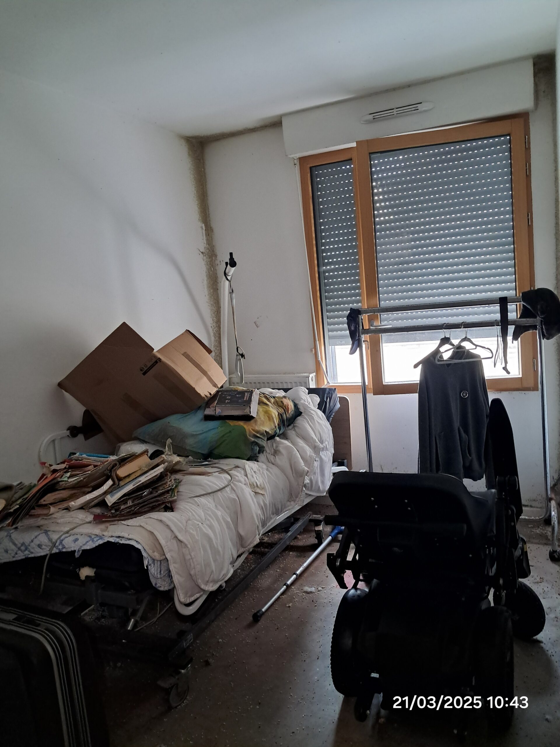 20250321 104326 Scaled